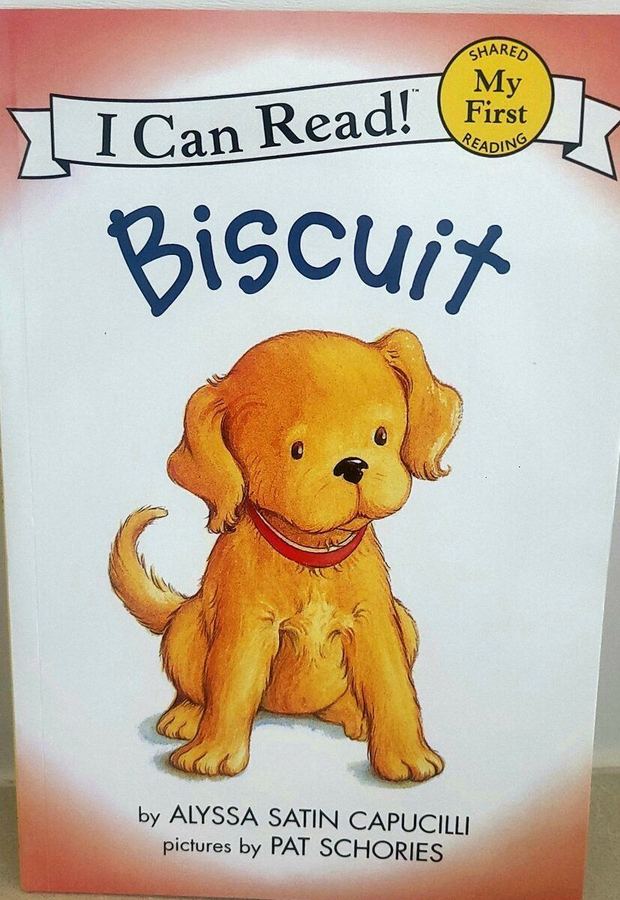 Biscuit 실제 표지