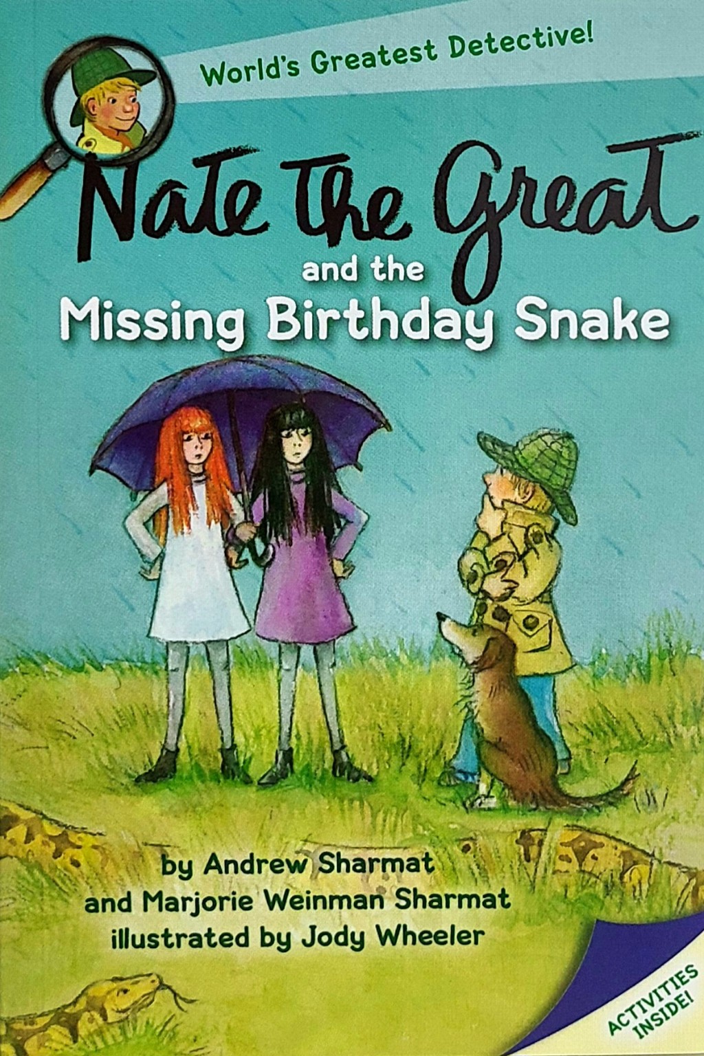 Nate the Great and the Missing Birthday Snake 표지
