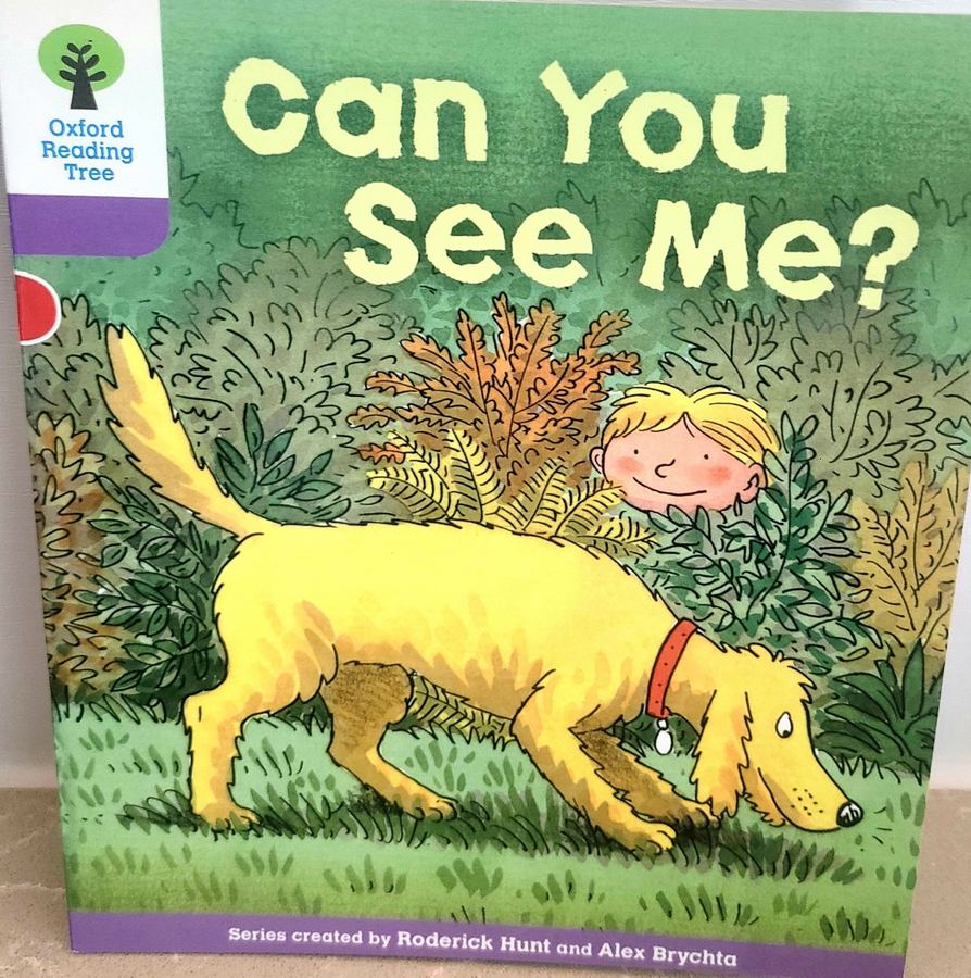 Can You See Me? 표지