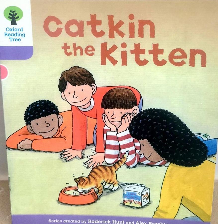 Catkin the Kitten 표지