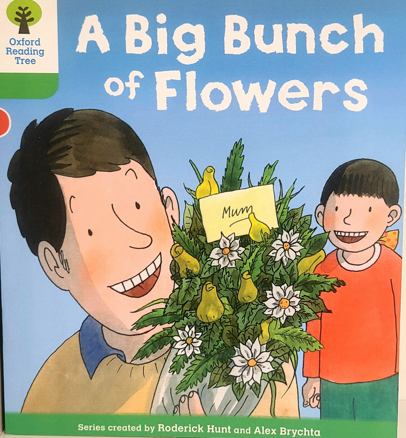A Big Bunch of Flowers 표지