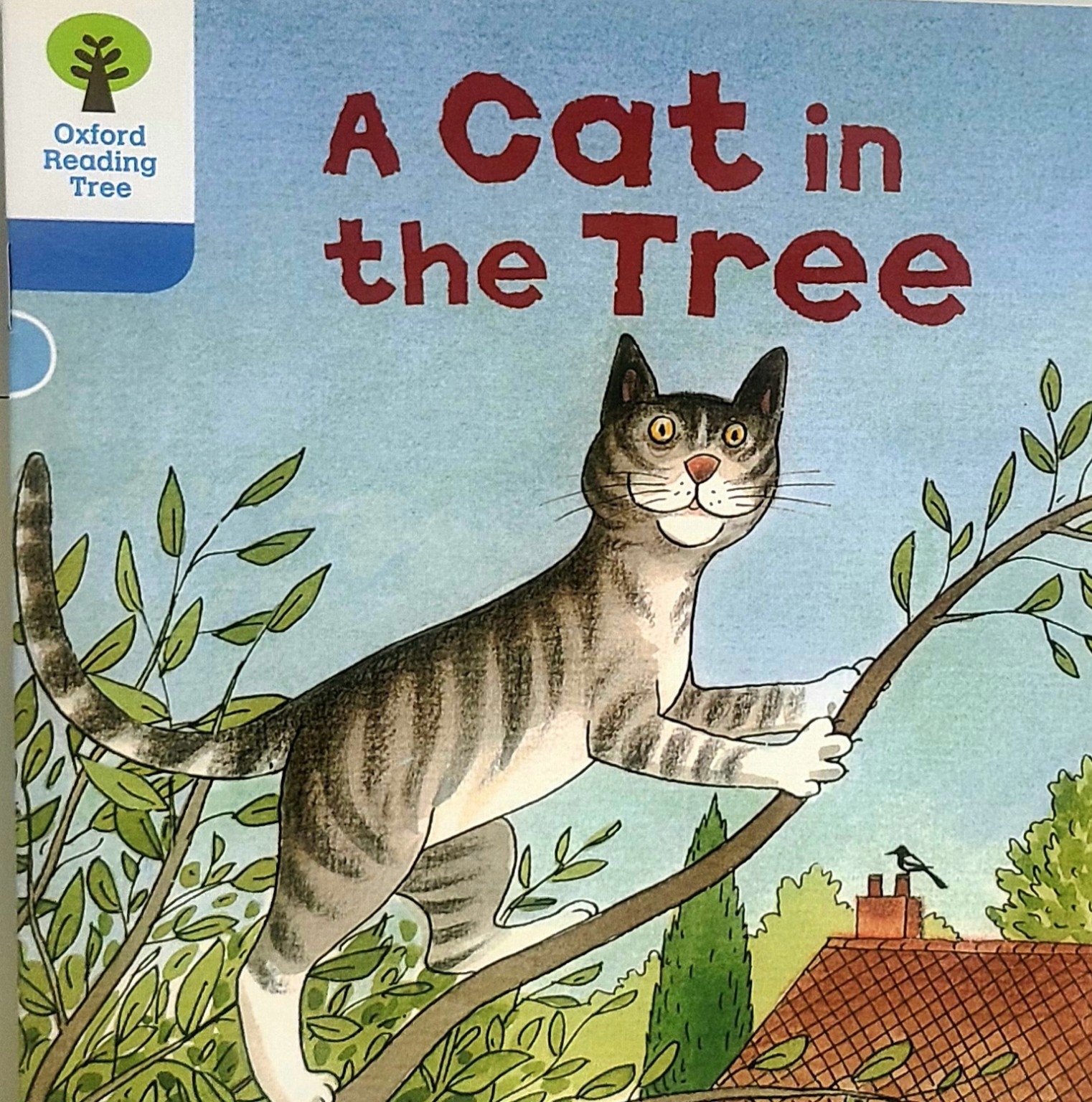A Cat in the Tree 표지