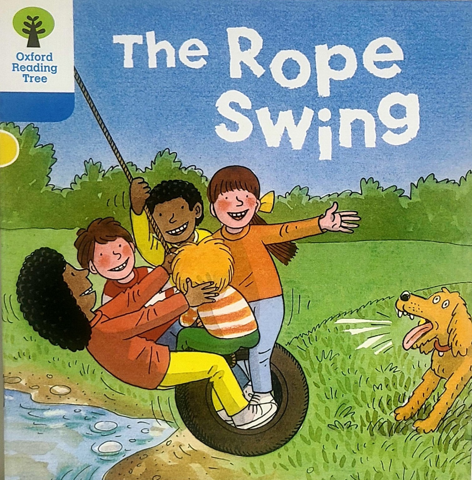 The Rope Swing 표지